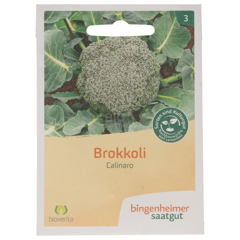 BROCCOLO CALINARO SEMENTI BIO BUST.41 SEMI