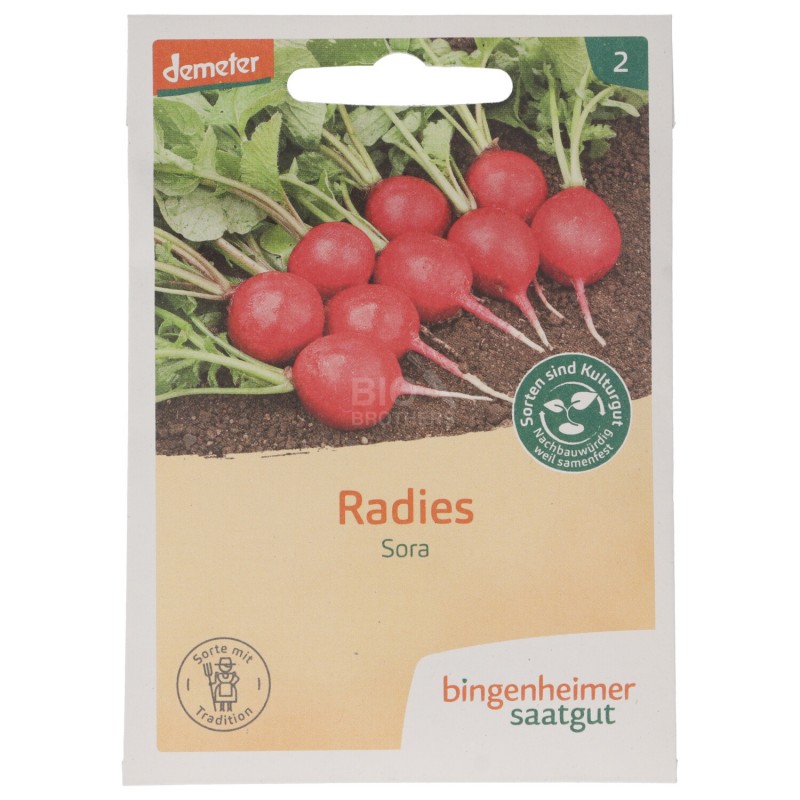 RAVANELLO SORA SEMENTI DEMETER 7G