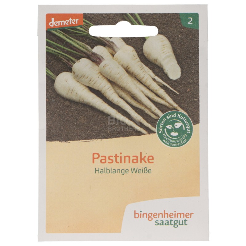 PASTINACA BIANCA SEMENTI DEMETER 3G