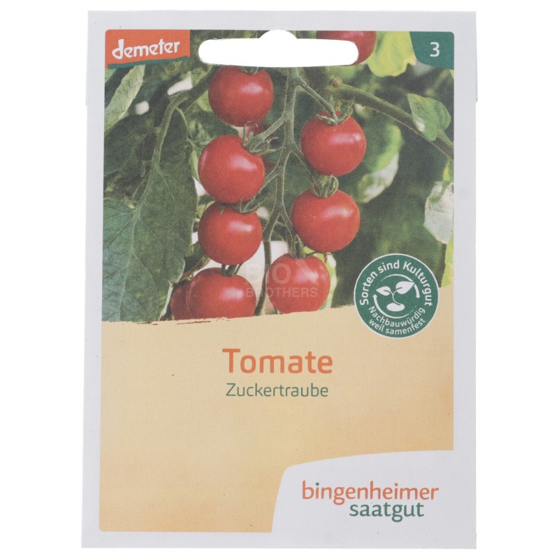 POMODORINO ROSSO SEMI DEMETER BUSTINA 22SEMI