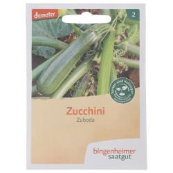 ZUCCHINO ZUBODA VERDE SEMENTI DEMETER