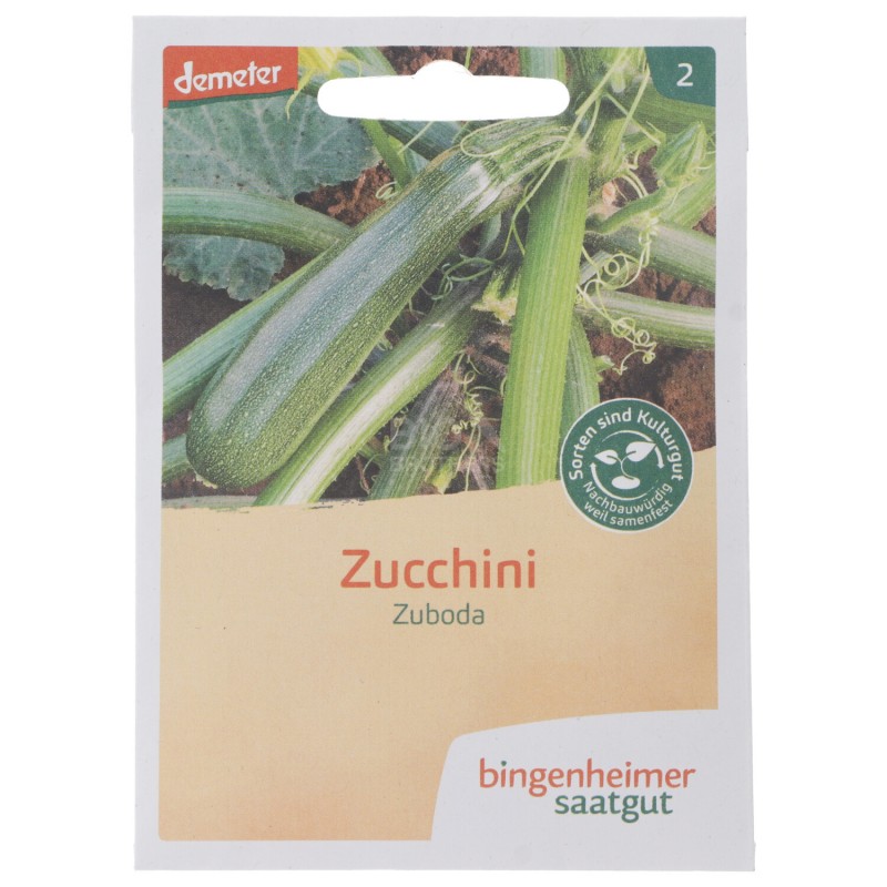 ZUCCHINO ZUBODA VERDE SEMENTI DEMETER