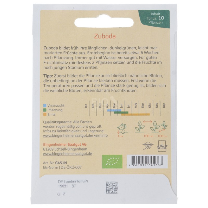 ZUCCHINO ZUBODA VERDE SEMENTI DEMETER