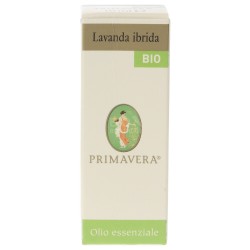 Olio essenziale di lavanda ibrida