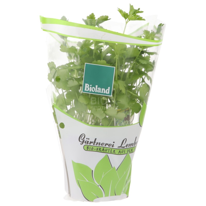 PIANTINA PREZZEMOLO (BIOLAND) DE