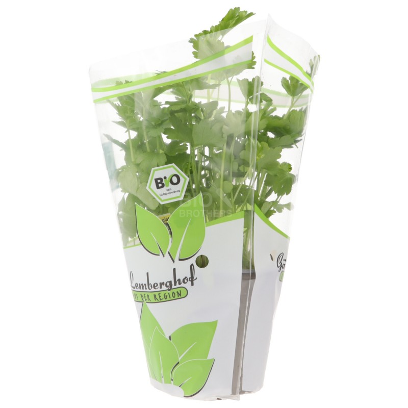 PIANTINA PREZZEMOLO (BIOLAND) DE