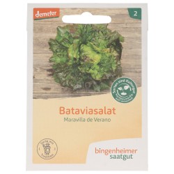 LATTUGA MERAVIGLIA BATAVIA SEMENTI DEMETER