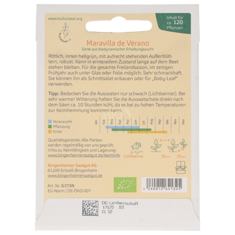 LATTUGA MERAVIGLIA BATAVIA SEMENTI DEMETER