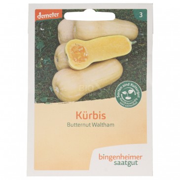 ZUCCA BUTTERNUT SEMENTI DEMETER PER ORTO ZUCCA BUTTERNUT SEMENTI DEMETER PER ORTO
