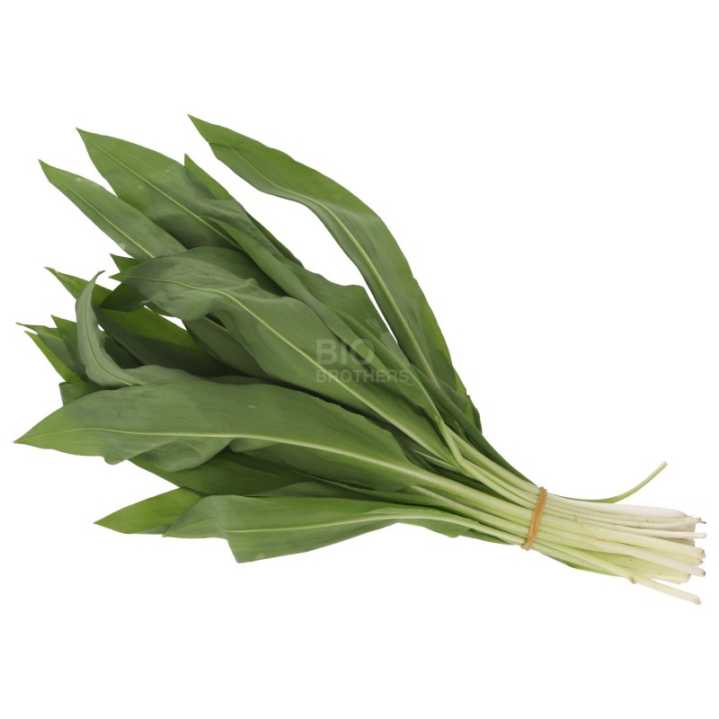 AGLIO ORSINO MAZZETTO 30G (SELVATICO) DE