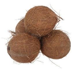 NOCE DI COCCO 500-650G  (BIO) AFRICA