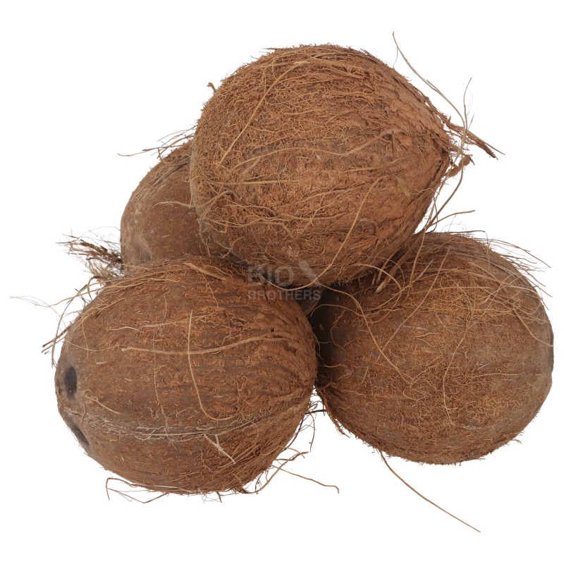 NOCE DI COCCO 500-650G  (BIO) AFRICA