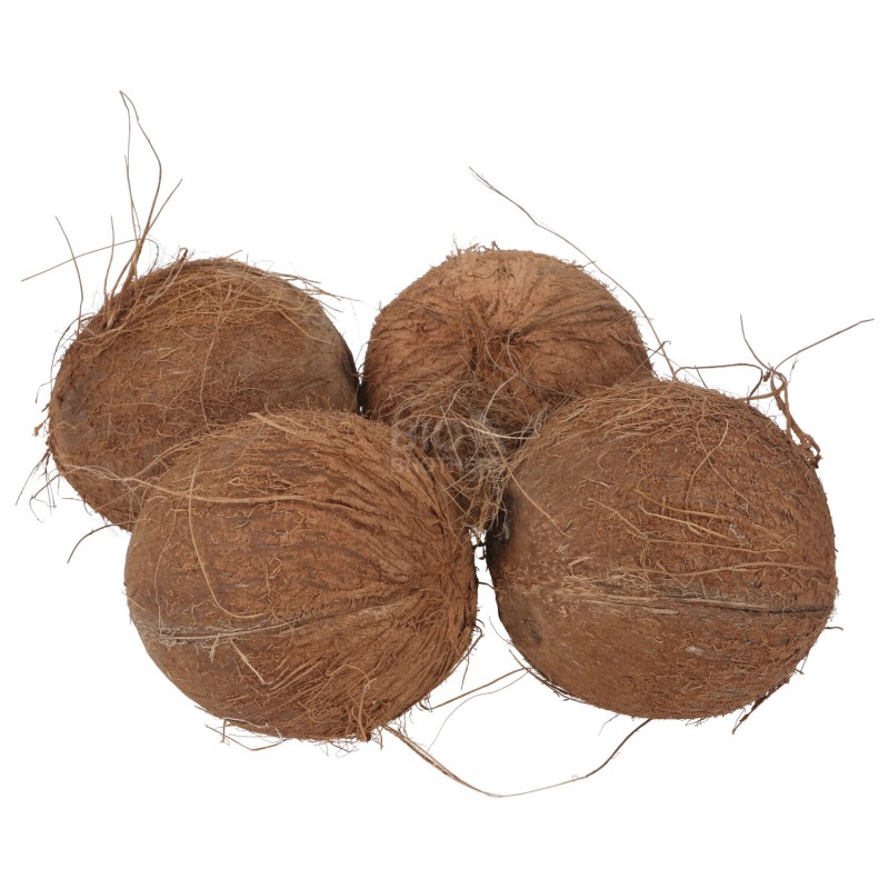 NOCE DI COCCO 500-650G  (BIO) AFRICA
