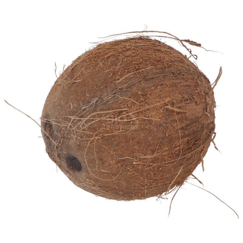 NOCE DI COCCO 500-650G  (BIO) AFRICA