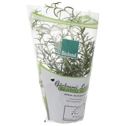 PIANTINA ROSMARINO (BIOLAND) DE