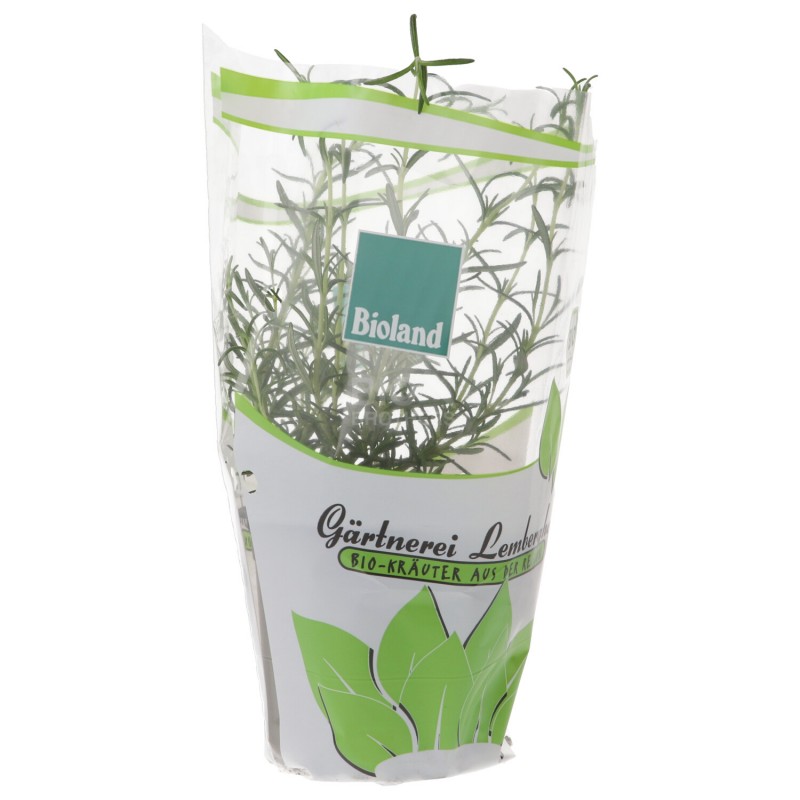 PIANTINA ROSMARINO (BIOLAND) DE