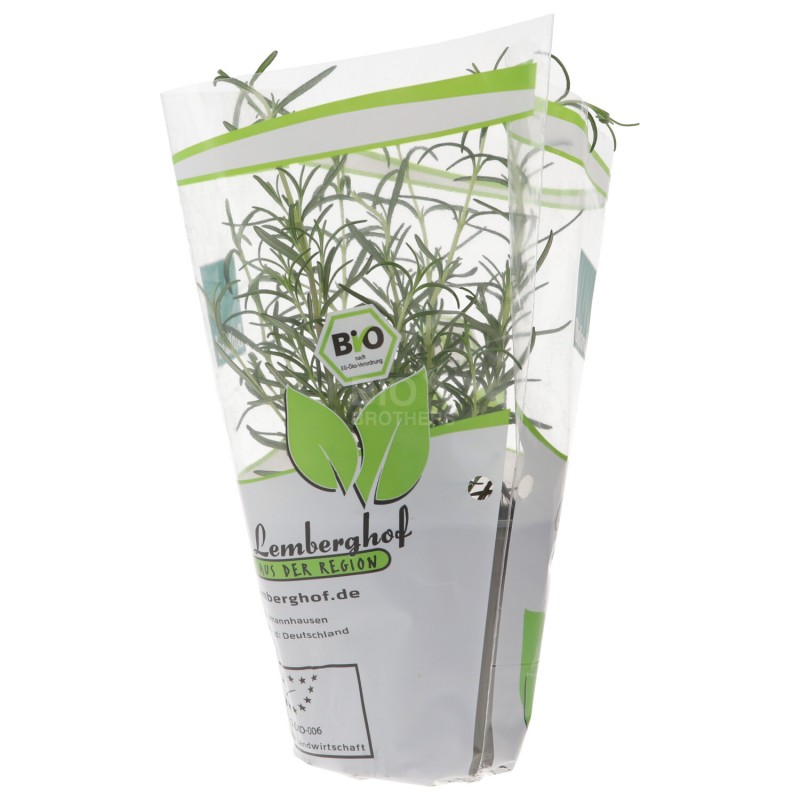 PIANTINA ROSMARINO (BIOLAND) DE