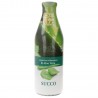 Succo fresco di aloe bio