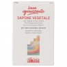 SAPONE VEGETALE IGIENIZZANTE KARITE&#39; ARGILLA E RAME 100GR
