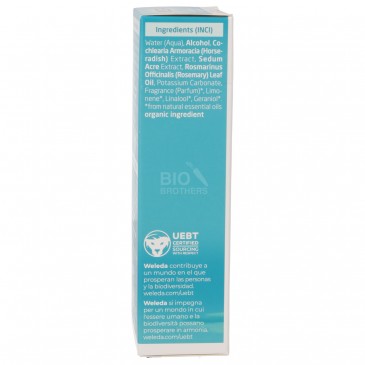 LOZIONE RIVIT.ROSMAR 100ML WELEDA LOZIONE RIVIT.ROSMAR 100ML WELEDA