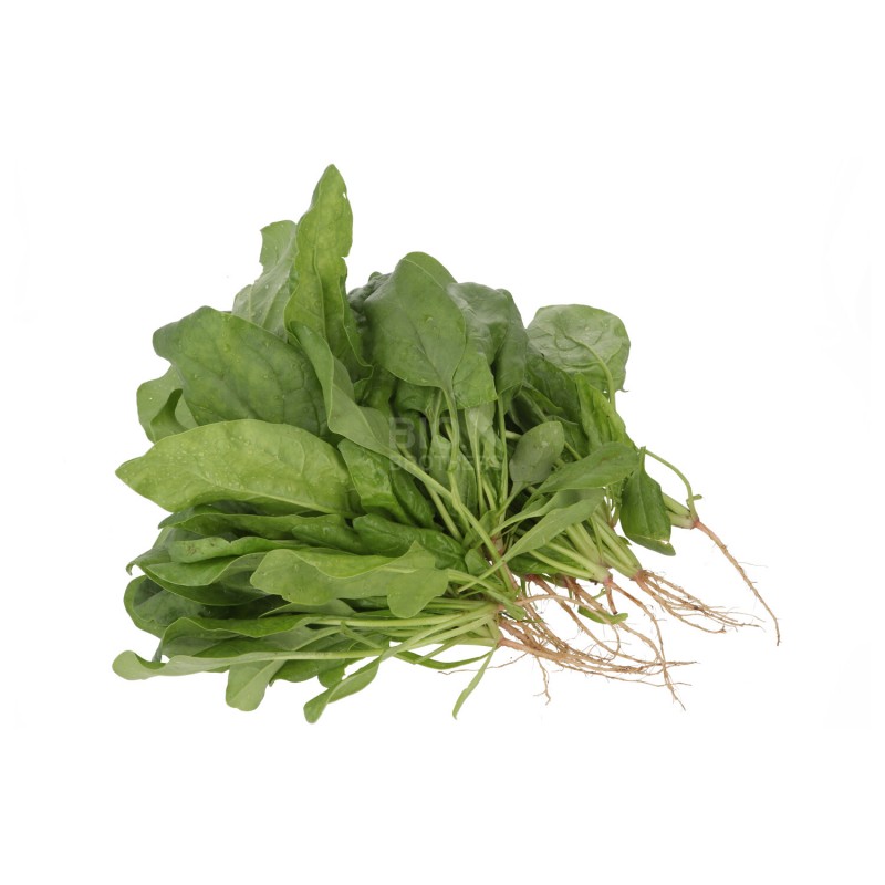 Spinaci Biologici con radice