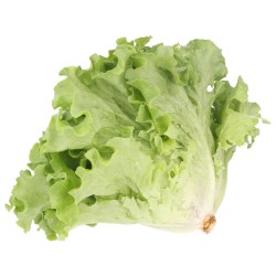 WIVA INSALATA LOCALE (BIO)