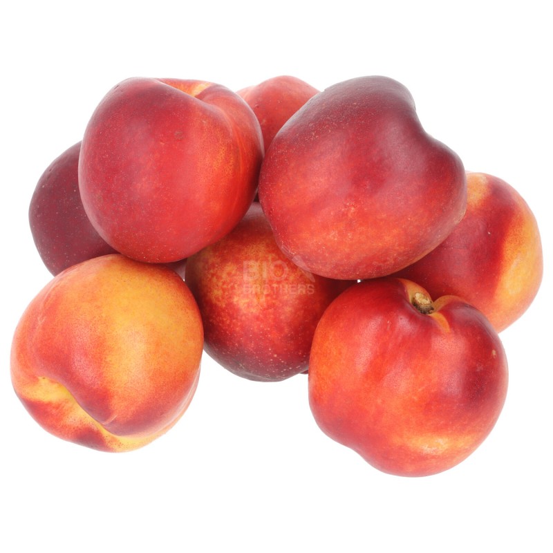 NETTARINE (BIO) 