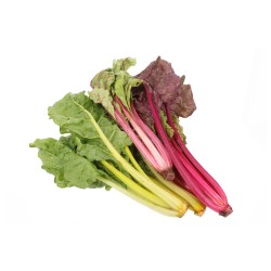 WIVA RAINBOW COSTE COLORATE (BIO) LOCALE