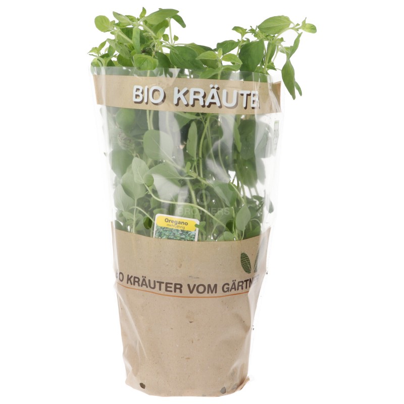 PIANTINA ORIGANO (BIOLAND) DE