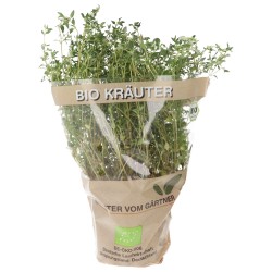 PIANTINA TIMO (BIOLAND) DE