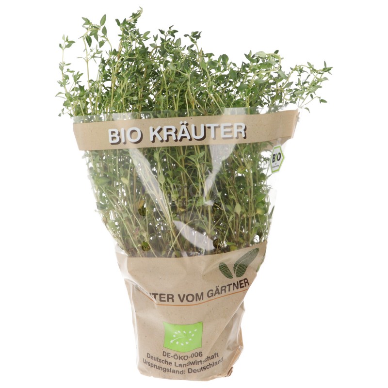 PIANTINA TIMO (BIOLAND) DE