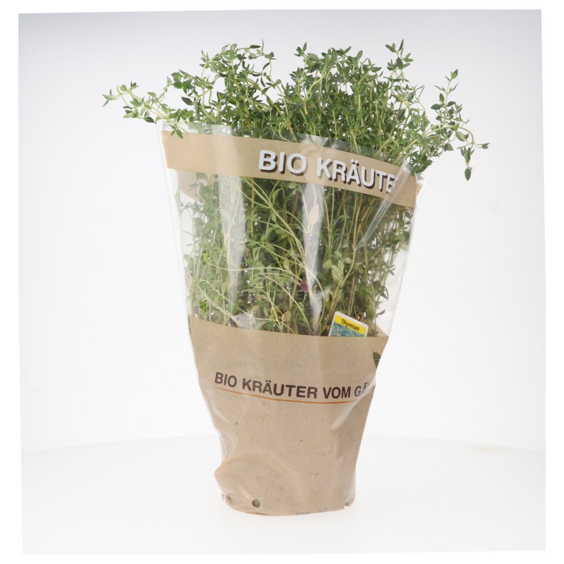 PIANTINA TIMO (BIOLAND) DE