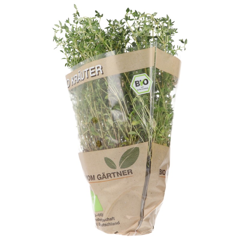 PIANTINA TIMO (BIOLAND) DE