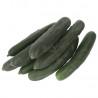 CETRIOLI (BIO) VERDURA