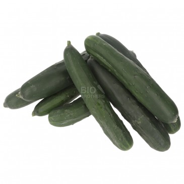 CETRIOLI (BIO) CETRIOLI (BIO)