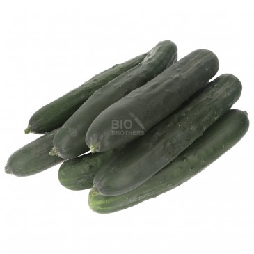 CETRIOLI (BIO) CETRIOLI (BIO)