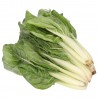 WIVA COSTE BIETA (BIO) FILIERA BIOBROTHERS LOCALE 1KG