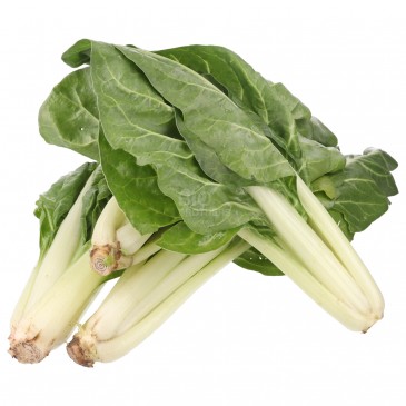 WIVA COSTE (BIO) WIVA COSTE (BIO)