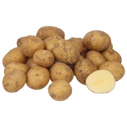 WIVA PATA.FORNO (BIO) CESIOMAGGIORE