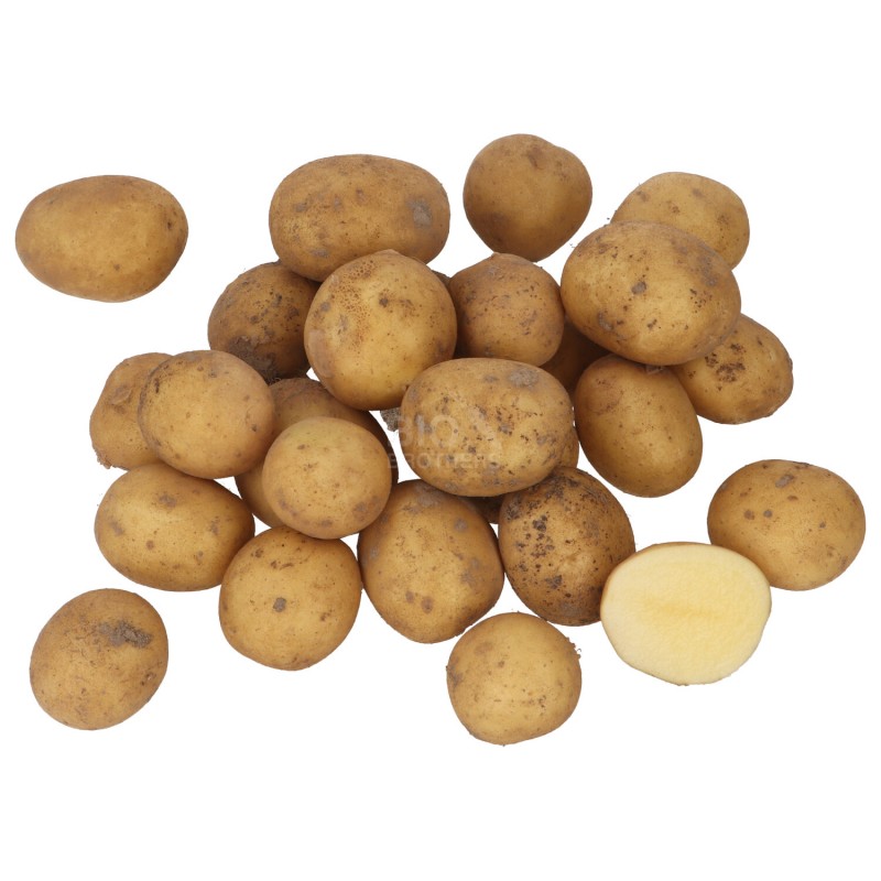 WIVA PATA.FORNO (BIO) CESIOMAGGIORE