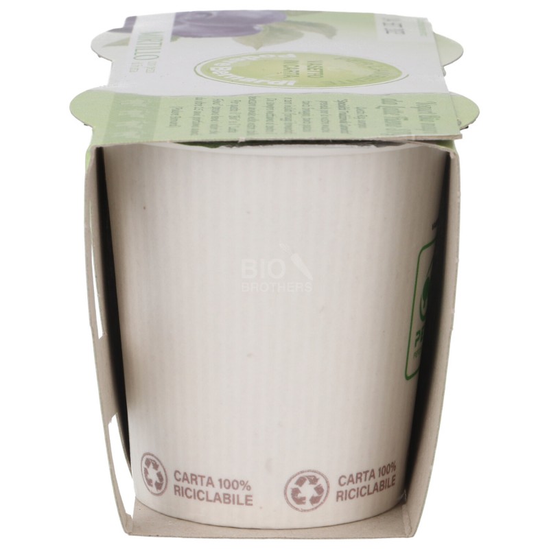 YOG. MAGRO MIRT. 2X125GR BERNARDI