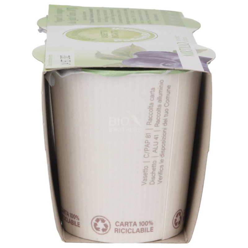 YOG. MAGRO MIRT. 2X125GR BERNARDI