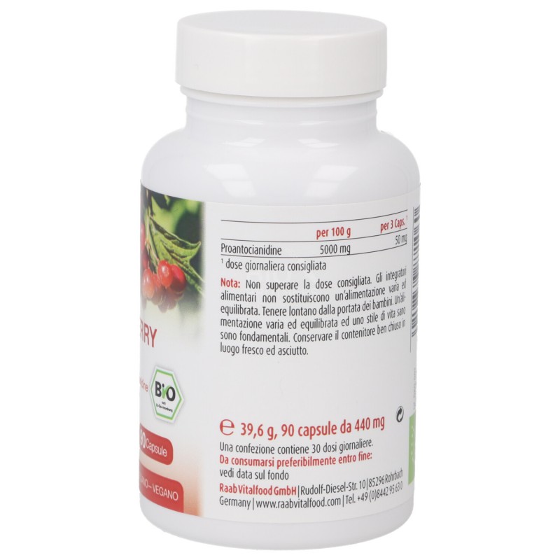 CRANBERRY CAPSULE 39.6G RAAB