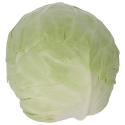 CAPPUCCIO TONDO (BIO)