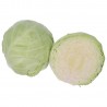 Cavolo Cappuccio Tondo Biologico