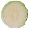 Cavolo Cappuccio Tondo Biologico
