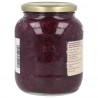 Cavolo Rosso contorno biologico in vaso grande XL