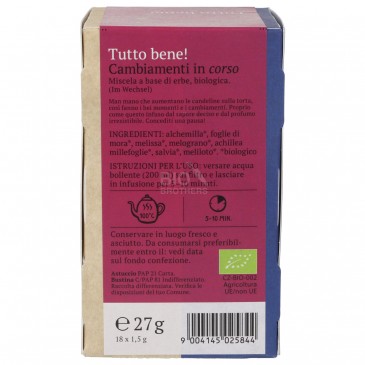CAMBIAMENTI IN CORSO INFUS.FILTR.BIO 27G CAMBIAMENTI IN CORSO INFUS.FILTR.BIO 27G