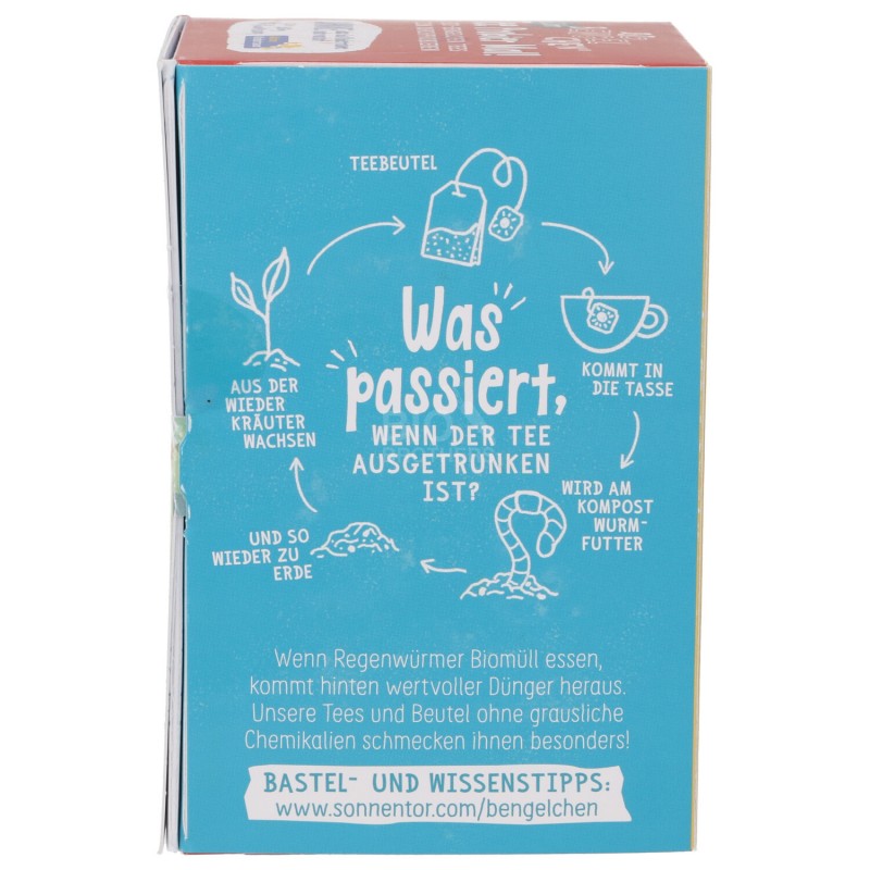 BIO BIRICHINO INFUSI MISTI IN FILTRO 32.8G SNN