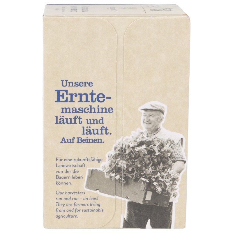 INFUSO GINGER CURCUMA 18FILTR.SNN